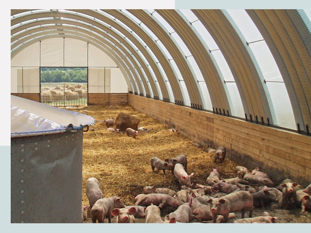 Строительство свинарников в Феодосии